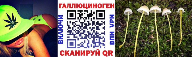 Купить где  Архангельск  Галлюциногенные грибы GOLDEN TEACHER 